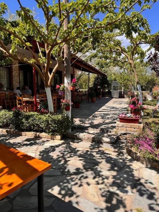 Family Woodland Oasis Vipgreece Apartment Kirinthos Luaran gambar